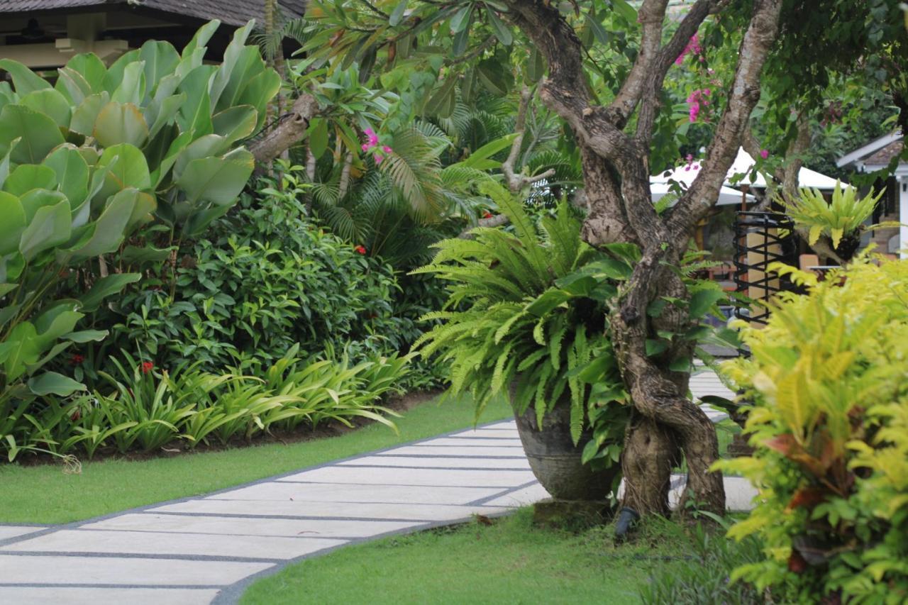 Sagara Villas And Suites Sanur By Ahm Luaran gambar A garden in Bali