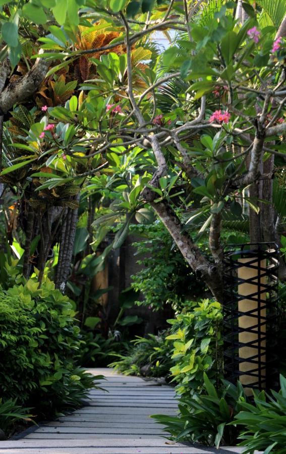 Sagara Villas And Suites Sanur By Ahm Luaran gambar Ficus elastica